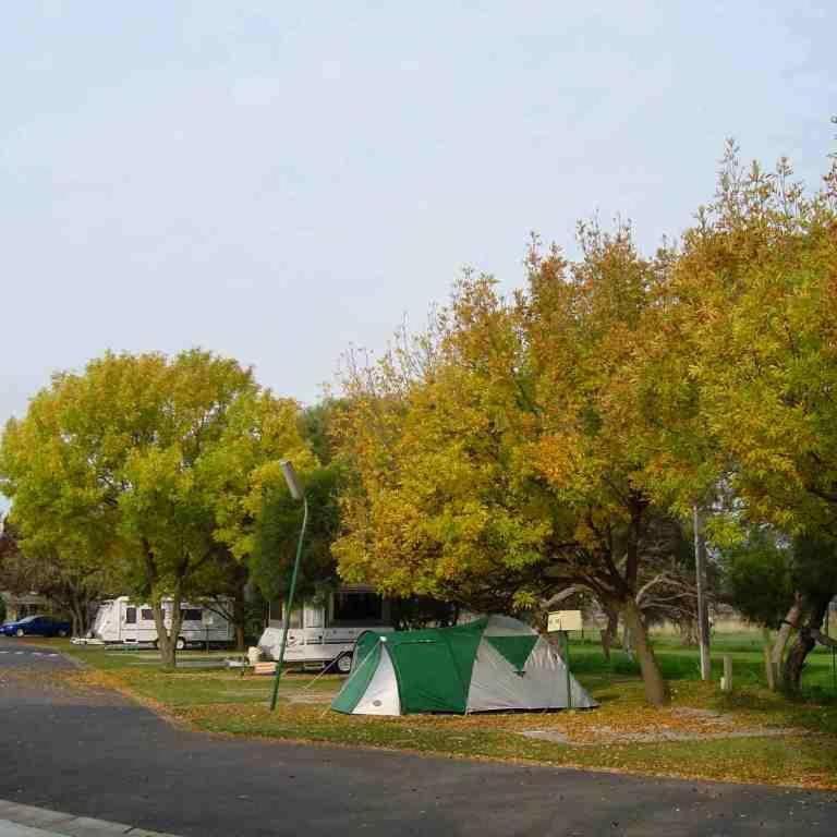 Big4 Dandenong Tourist Park Hotel Exterior foto